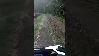 TEST Ride Honda Beat #Shorts