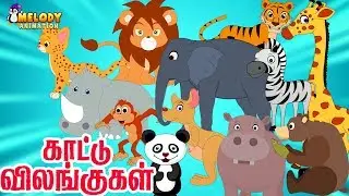 Wild Animals - In Tamil | Animal Names In Tamil | Learning Made easy | Tamil Kids Animation |