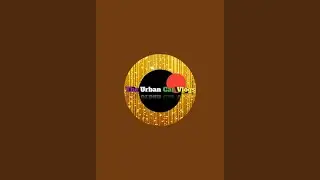 The Urban Car Vlogs