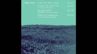 Fellini F&eacute;lin - Come To The Fore (C Duncan Remix)