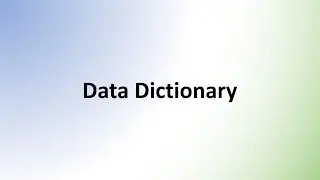What is a Data Dictionary