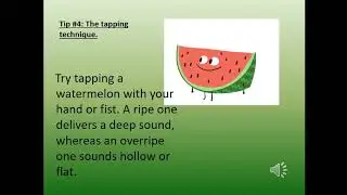 How to choose a ripe watermelon Курносова Е.Полянцева А. Машков П Эк-25