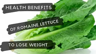 Healthy benefits of Romaine lettuce For Weight Loss
