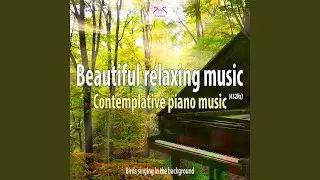 Dreaming with Contemplative Piano Music (Birds Singing in the Background)