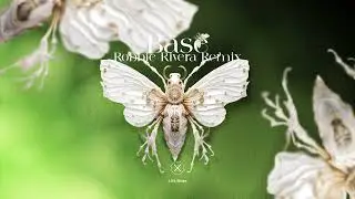 Lift Bliss - Base (Robbie Rivera Remix) // Axiom
