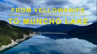 Trek to Alaska Ep 4. Yellowknife, Liard Trail, Muncho Lake. Bears, Wood Bison, Sheep and Caribou.