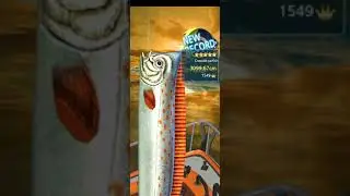 Bering sea Boss Crested Oarfish fishing Hook anzol de pesca