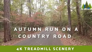 63. AUTUMN RUN ON A COUNTRY ROAD | 4K VIRTUAL RUN |  TREADMILL SCENERY