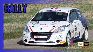 Peugeot 208 - Damien CLAUDON - RALLY - 2020 - Lorraine + Nicolas PATRIS