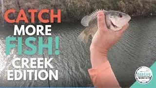 Winter Creek Fishing Tips