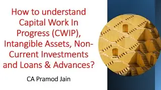 Capital Work In Progress, IntangibleAsset, Non-Current Investment, Loans& Advances I CA Pramod Jain