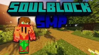 My Application For The SoulBlock SMP (Accepted!)