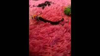 VID 20150515 175853