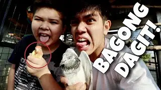 MAMAHALING DAGIT! Welcome sa bagong member ng ating pamilya mga kalovebird (KALAPATI) | Murillo Bros