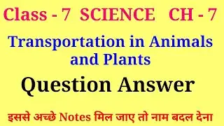 transportation in plants and animals class 7 question answer | class 7 science ch 7 question answer