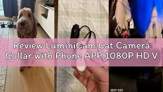 Review LuminiCam Cat Camera Collar with Phone APP,1080P HD Video Recording,Easy to Check Videos on A