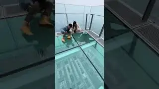 This Glass Floor Just Broke Their Brains 🤯 #glassfloor #funny #fearofheights #prank