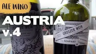 Wszystko o szczepie BLAUFR&Auml;NKISCH! | ABC Ale Wino