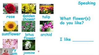 ESL Science plants and flowers intro