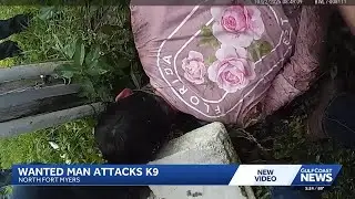 Wanted man accused of attacking Lee County Sheriff&rsquo;s Office K-9 during arrest
