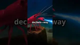 This Tiny Shrimp Can Snap Its Claw So Fast It Creates a Bubble as Hot as the Sun!