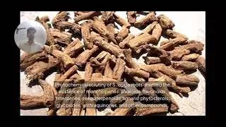 Exploring the Bioactive and Herbal Approaches of Saussurea lappa: A Precious Phytoherb...........