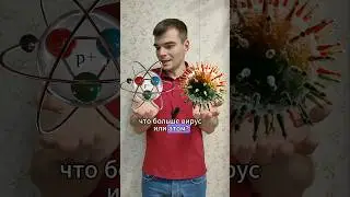 Что больше вирус или атом? (Eng subs) #атом #вирус #размеры #микромир