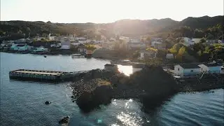 Parker's Cove - 2019