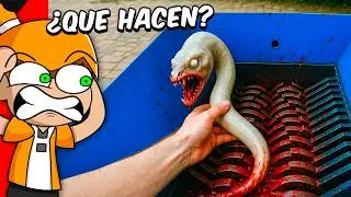TRITURADORA VS OBJETOS DE LA VIDA REAL #4 😱 | Palmita REACCIONA