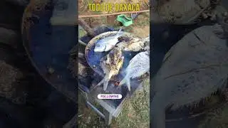 Traditional Fish Cooked on a Clay Comal 🔥 | Oaxaca, Mexico 🇲🇽