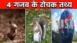 4 गजब के रोचक तथ्य | 4 Amazing Facts In Hindi | Top 4 Random Facts | Amazing Facts | #shorts #facts
