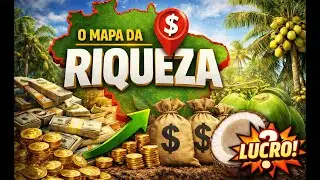 Análise de Solo: O Segredo dos Coqueirais que Dão LUCRO