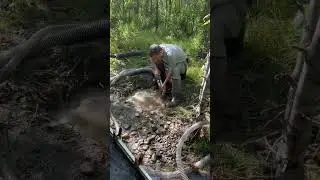 Sampling a spot near Anchor river in Alaska for fine placer gold.           #goldmining #dredging