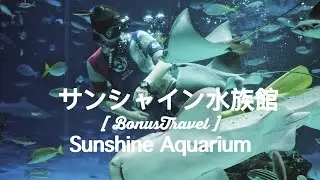 [BonusTravel] Sunshine Aquarium EP.31