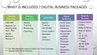 Zen8x Global Business Platform System - GET STARTED