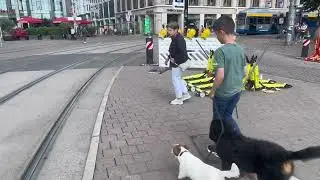 Berner Sennenhund &bdquo;Koko&ldquo; Junghundtraining