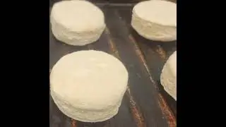 this biscuts of Dixie mason Dixie southern frozen biscuits