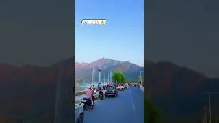 Kashmir 🦋💞Heaven on earth 🌎🕊️Follow🔥Save and share 🦋#kashmir #srinagar #dallake #nature #heaven