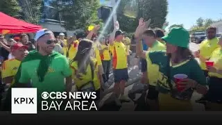 Copa America at Levi's Stadium brings together Brazil and Colombia fans