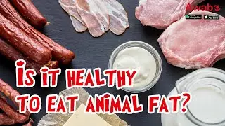 Is it healthy to eat animal fat?