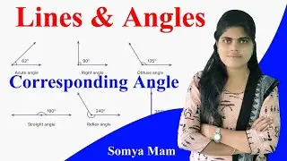 Corresponding angle || Parallel line @ActiveEducationPro