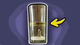 &iexcl;PRU&Eacute;BALO! EXPERIMENTO casero (Agua, Aceite y Sal) 👩&zwj;🔬