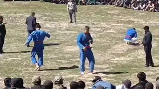 вахшивор дилшод полвондан чройли брасок омад