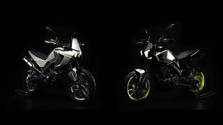 BENELLI BKX 250 & BKX 250 S