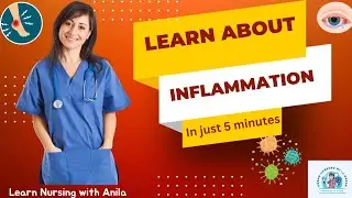 Easy way to learn about Inflammation - what it is, why it is important _ A Guide for Nurses