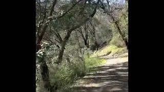 Revival Ranch - Road to the Big Dog Saloon