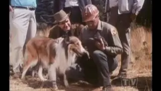 Ranger Cory Lassie (Season 13 Eps.23 The Eight Life Of Henry IV)