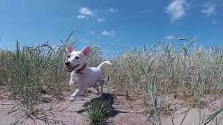 In The Desert | Lilou.BLN | Frisbee
