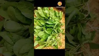 mula saag recipe #shorts#food#recipe cooking 🫕