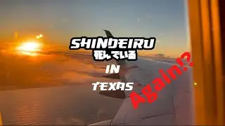 Shindeiru in Texas.. Again